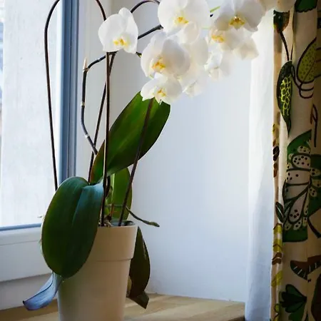 Apartment Oma Else *