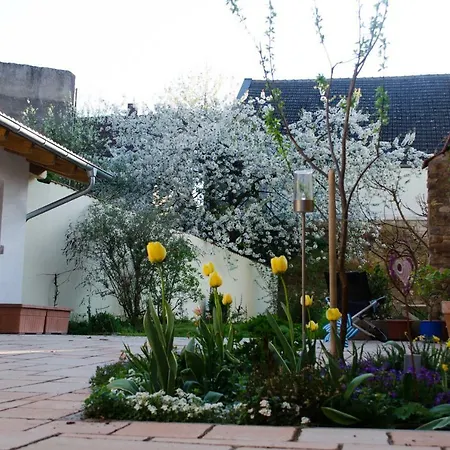 Oma Else Offenheim